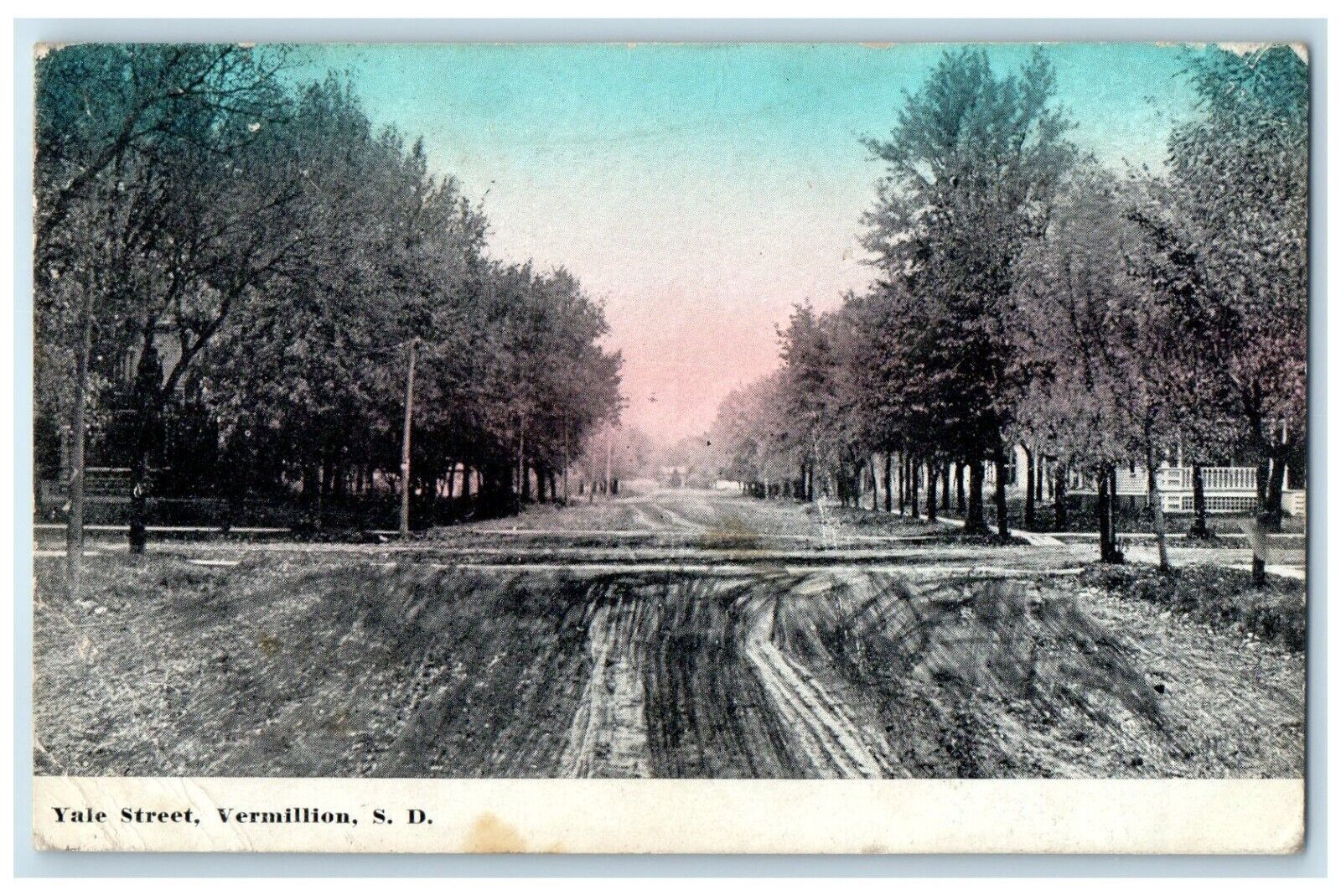 1910 Yale Street Road Trees Vermillion South Dakota SD Vintage Antique Postcard