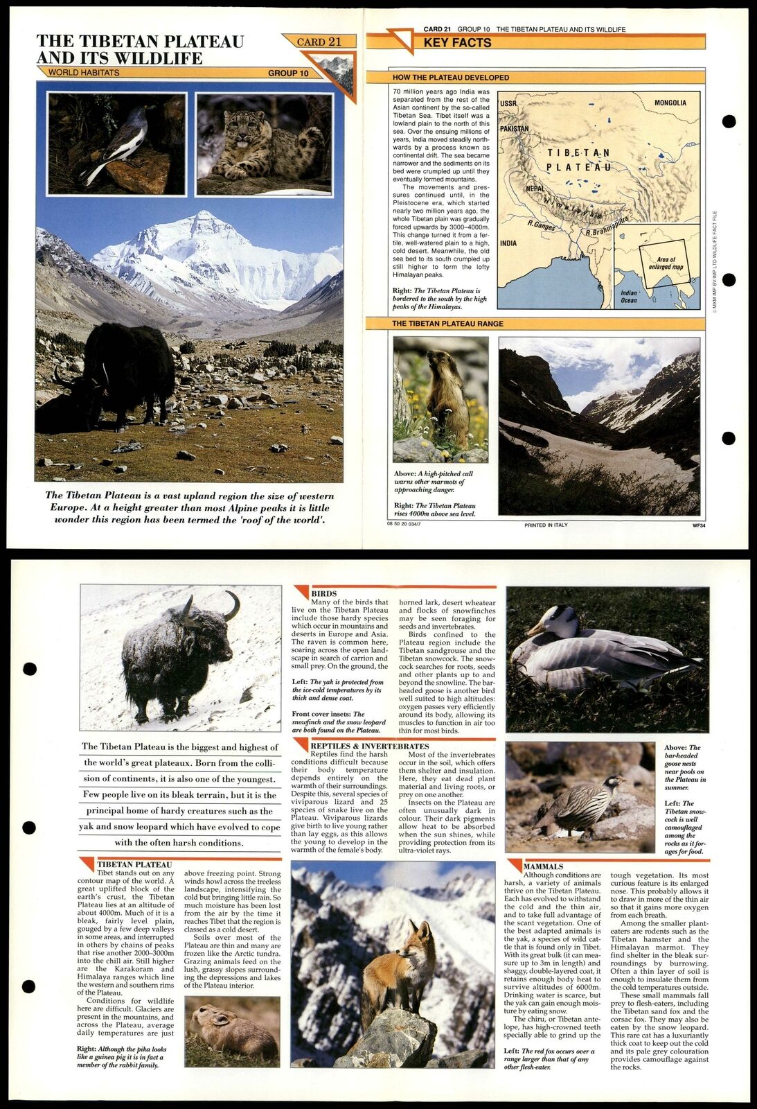 The Tibetan Plateau #21 World Habitats Wildlife Fact File Fold-Out Card