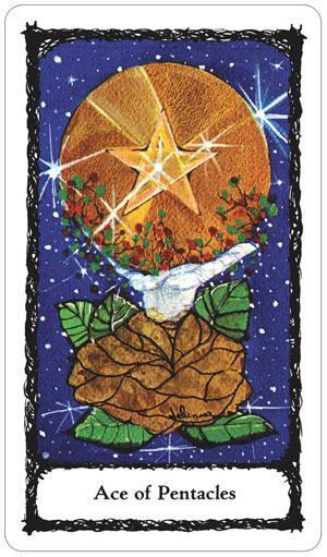 Sacred Rose Tarot Card Deck, by Johanna Gargiulo-Sherman