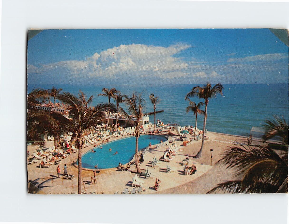 Postcard Tropical Southern Coast of Florida USA