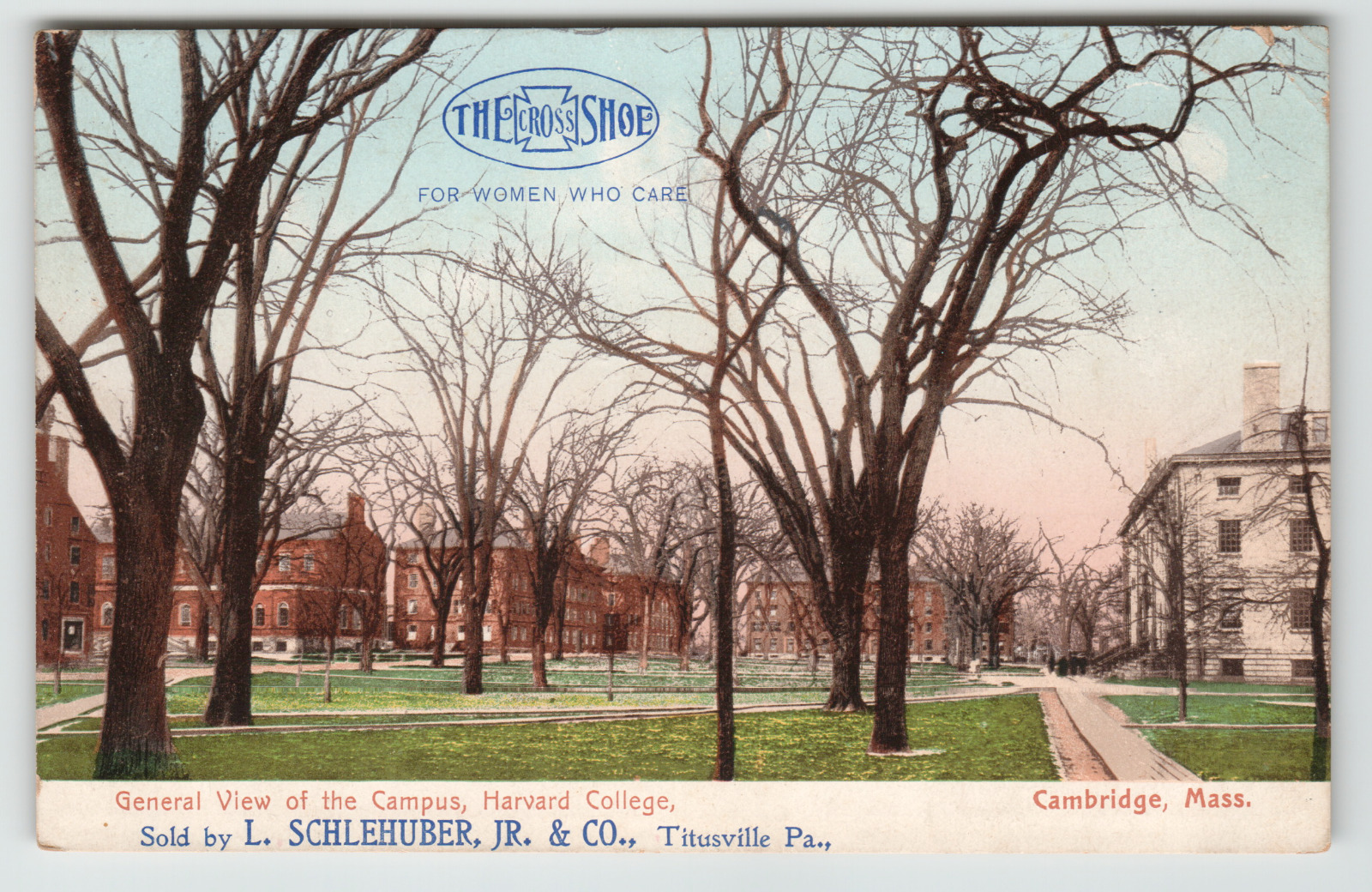 Postcard Advertising L. Schlehuber Jr. Shoes in Titusville, PA Cross Shoes