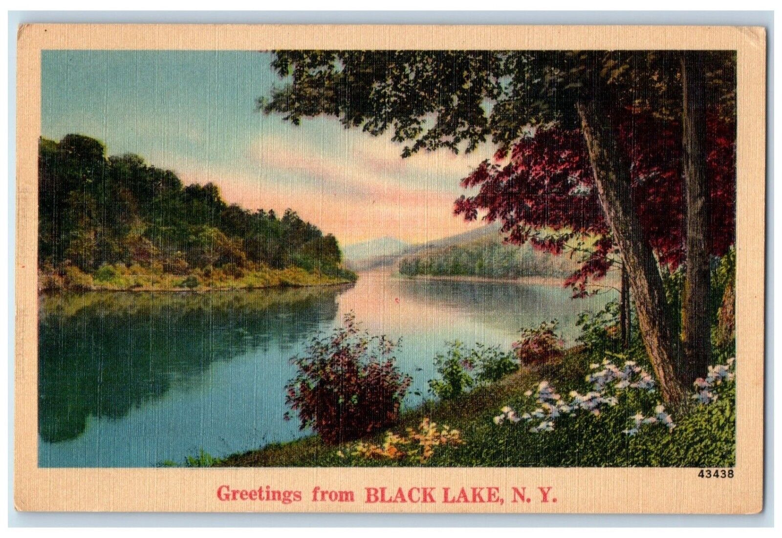 c1910's Greetings From Black Lake New York NY, Lake View Antique Postcard