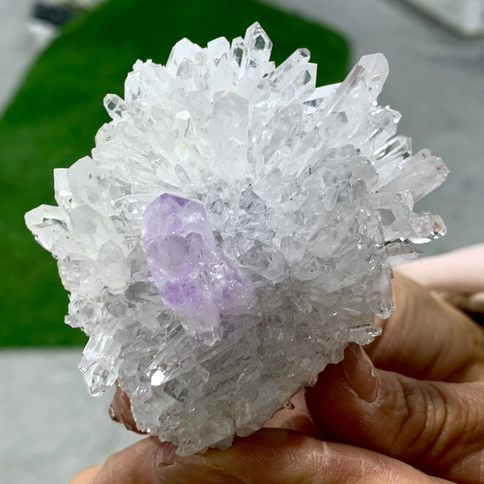 161G Natural Transparent Chrysanthemum crystal Cluster with Amethyst Specimen