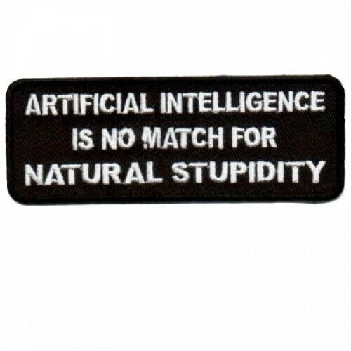 Motorcycle Jacket Patch - Artificial Intelligence no match for Natural Stupidity