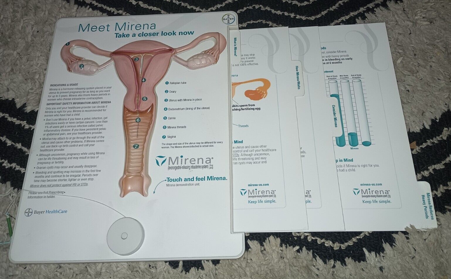 Mirena Contraceptive Pharmaceutical Model Anatomical Display Illustration 