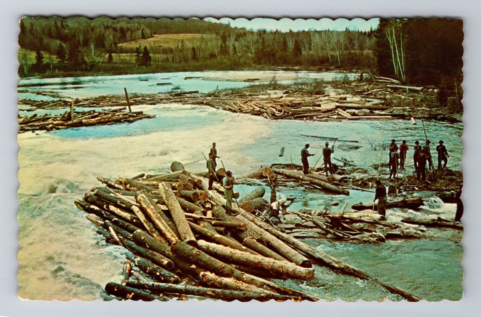 Thessalon Ontario Canada, Annual Log Drive On The White River, Vintage Postcard