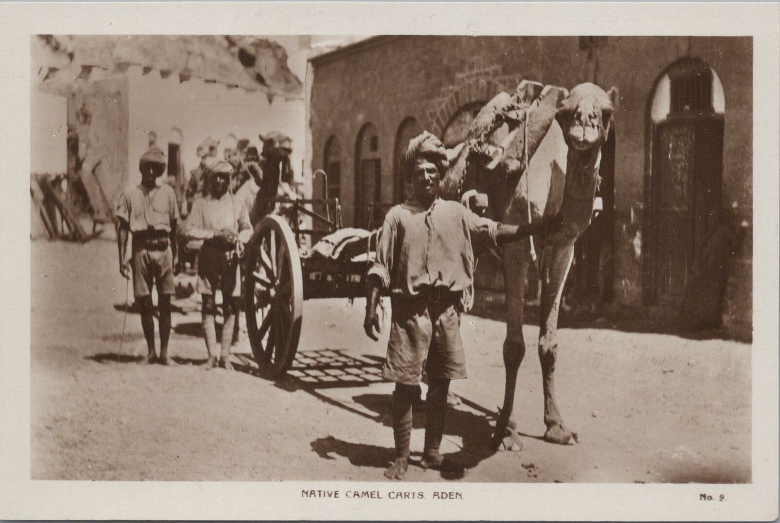 RPPC Postcard Native Camel Carts  Aden Yemen No 9