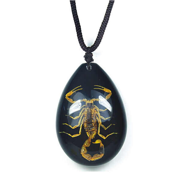 REAL BLACK GOLD SCORPION NECKLACE ACRYLIC PRESERVED SPECIMEN ADJUSTABLE CHAIN