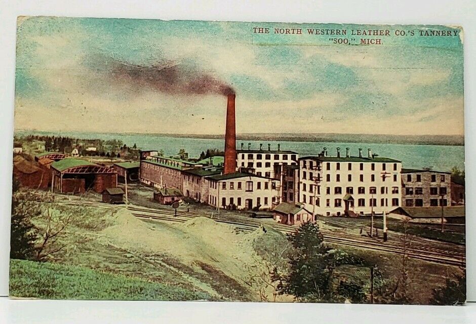 Michigan The North Western Leather Co.\'s Tannery \