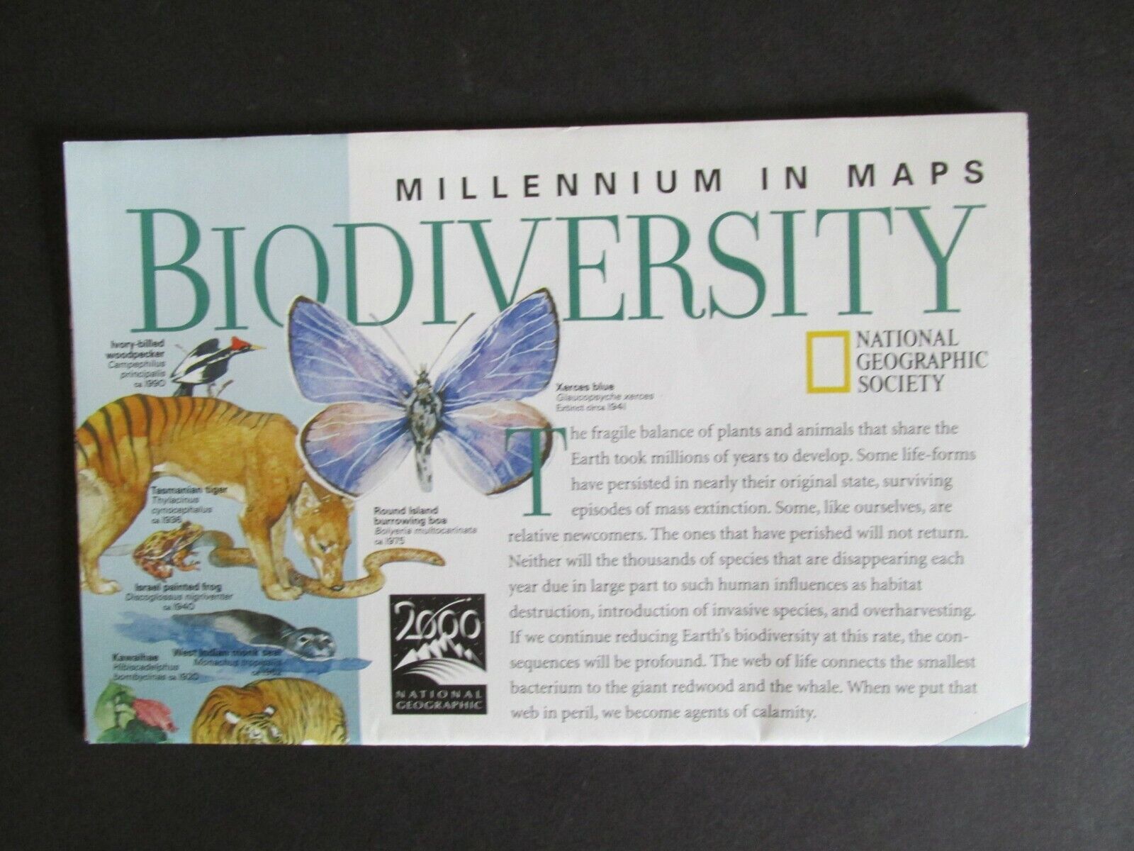 National Geographic Millennium in Maps BIODIVERSITY Feb 1999