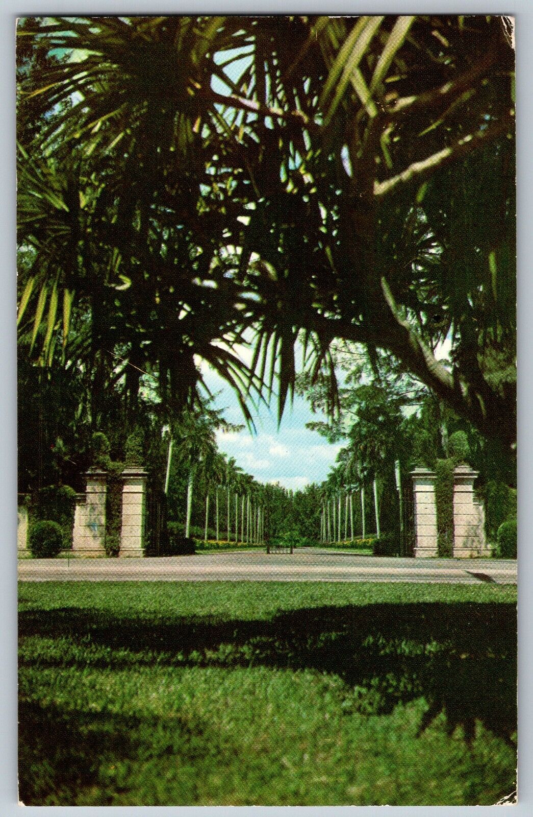 Miami, Florida FL - Entrance to Hialeah Race - New Club House - Vintage Postcard