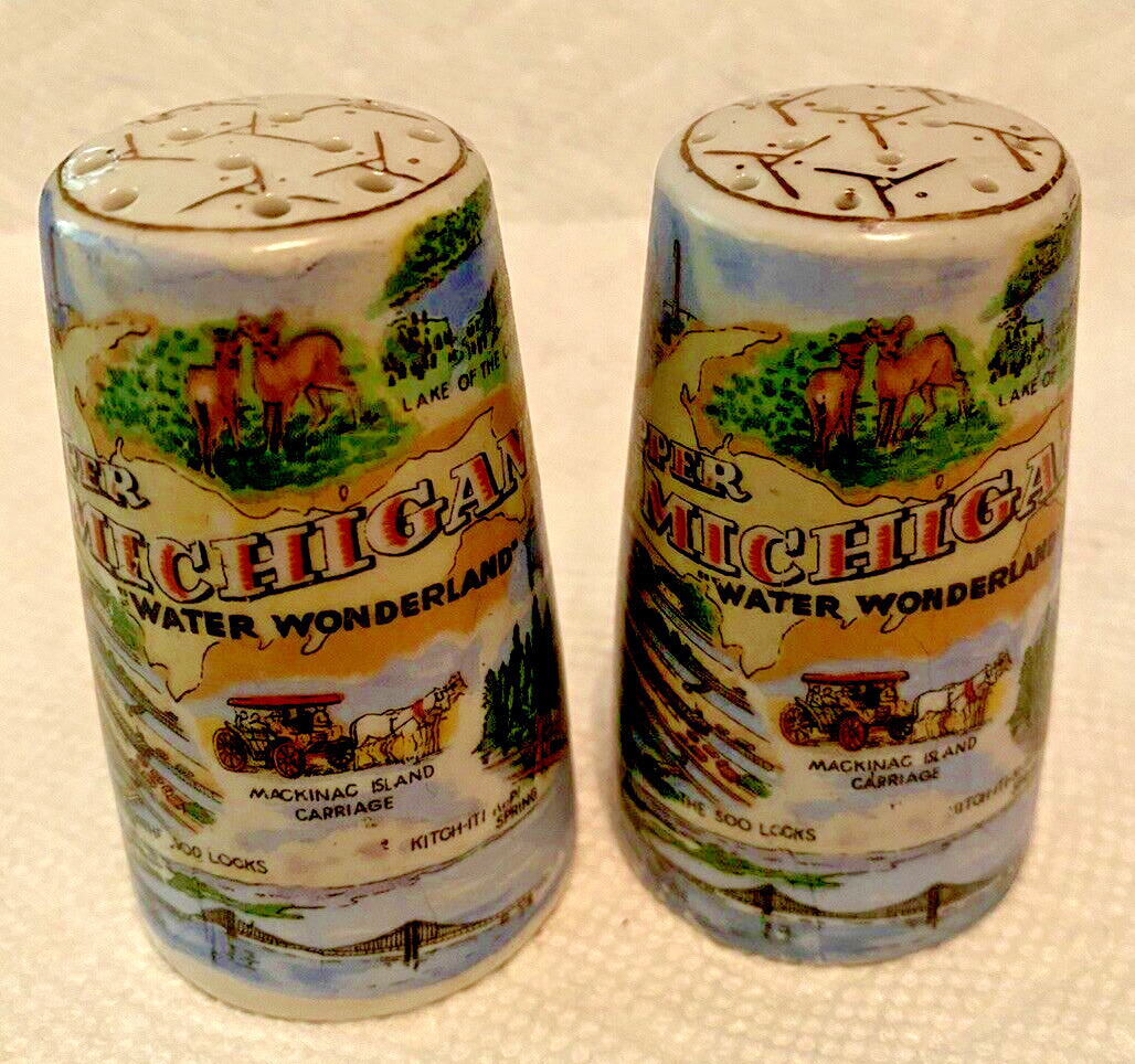 Vintage Thrifco Upper MICHIGAN Souvenir Highly Detail Salt & Pepper Shaker Japan