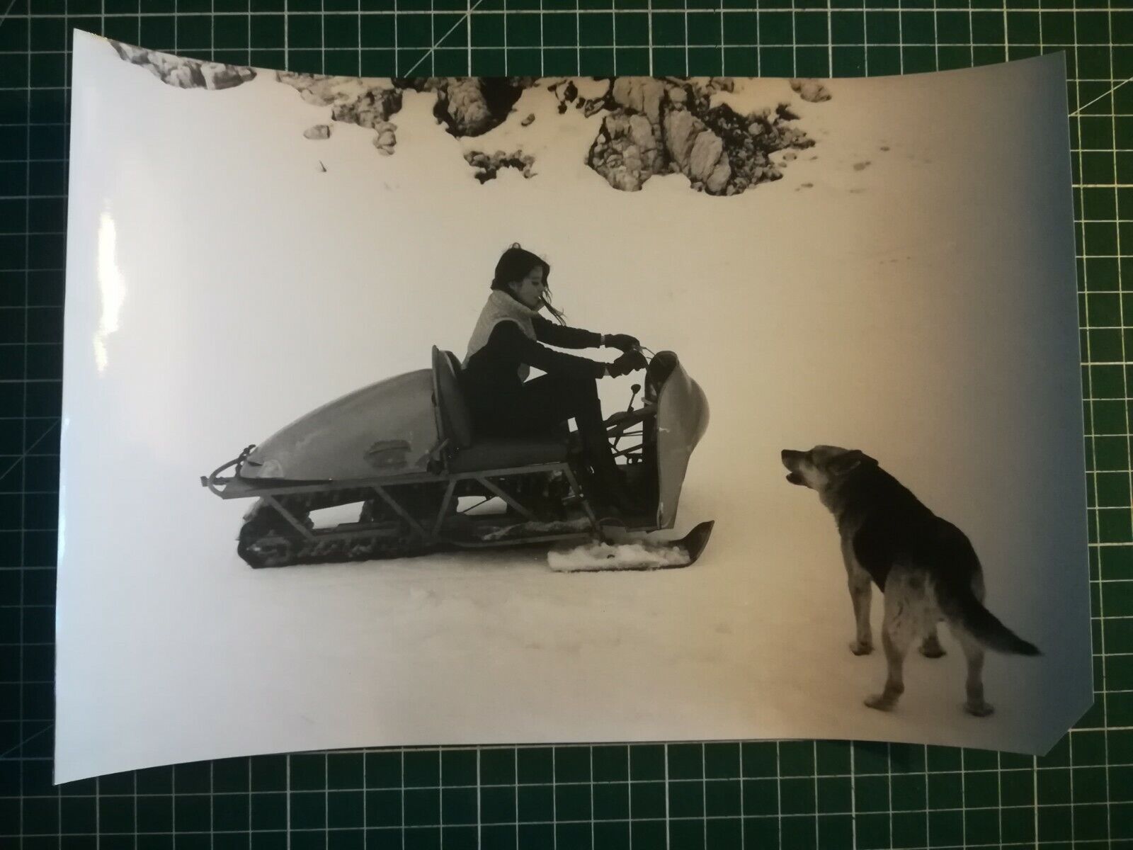 nn15 PHOTO TBE 1966 - 26x18 cm - young woman on snowmobile, chien