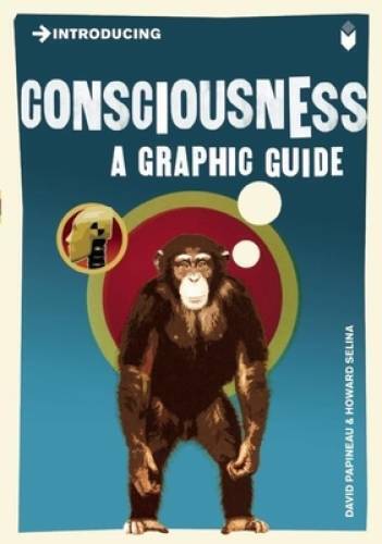 Introducing Consciousness: A Graphic Guide - Paperback - ACCEPTABLE