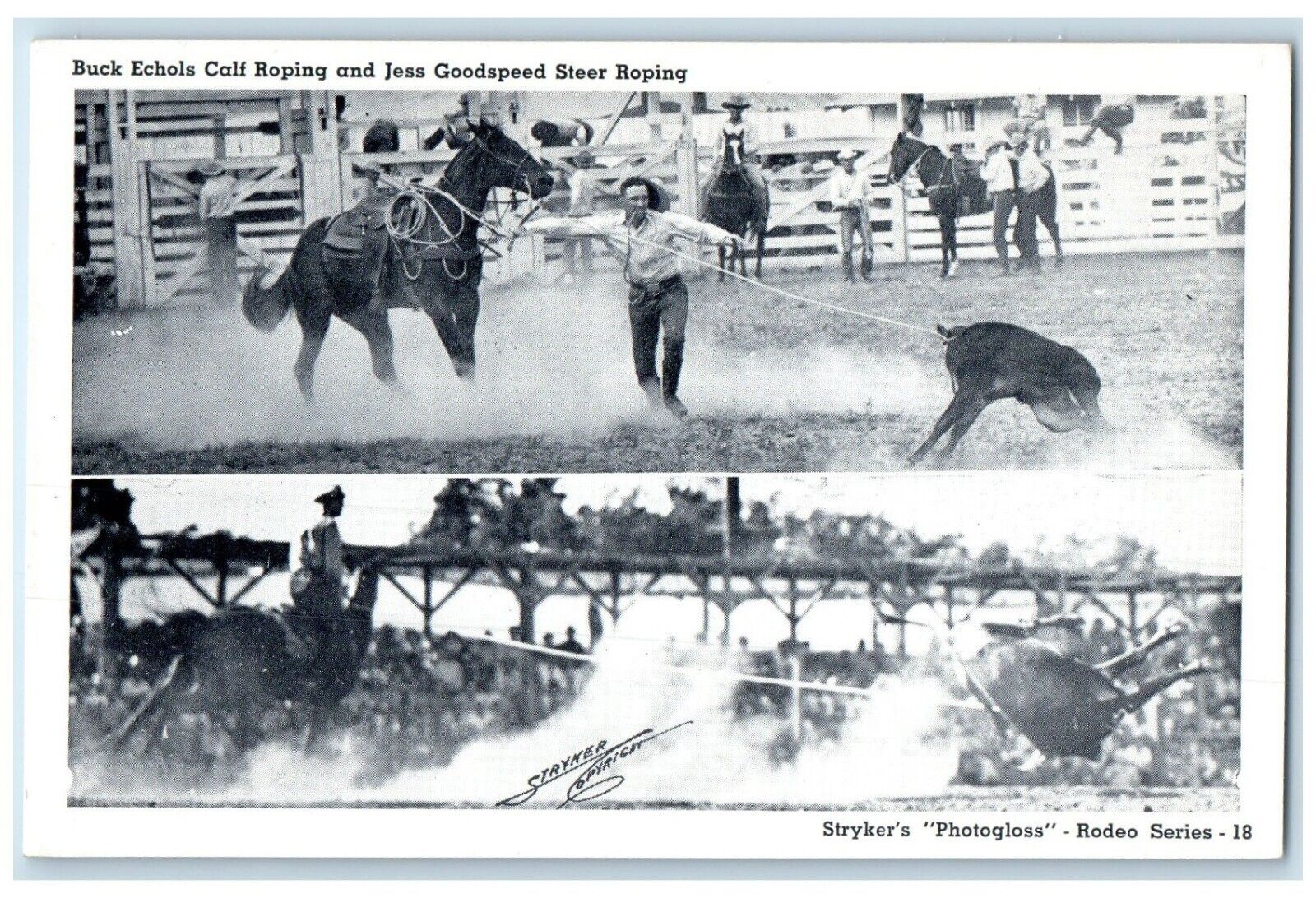 Buck Echols Calf Roping And Jess Goodspeed Steer Roping Styker\'s Postcard