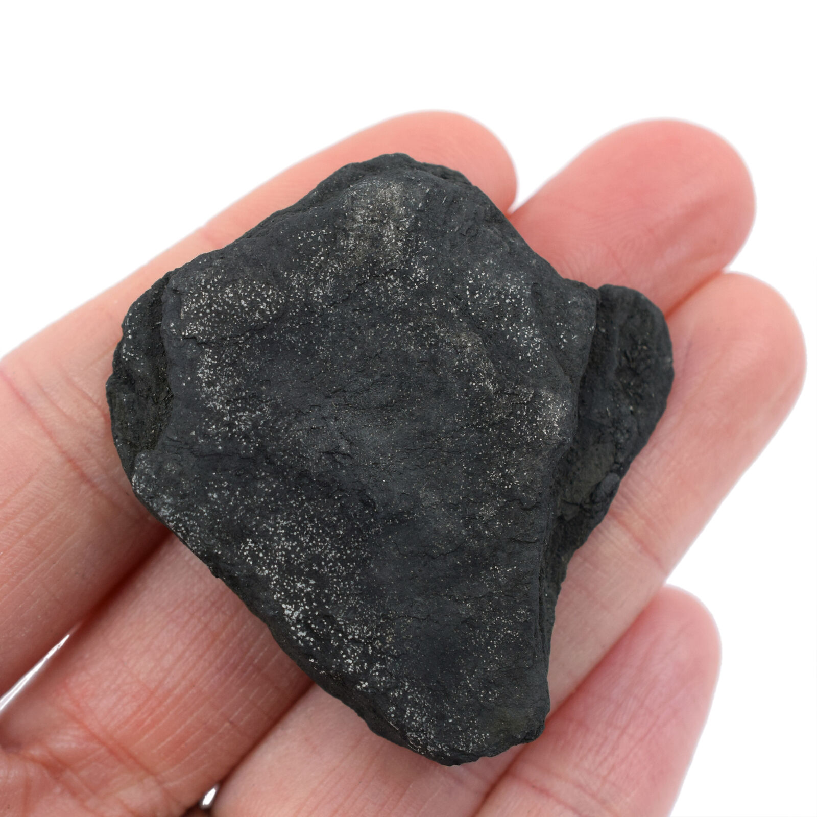 Raw Anthracite Coal Metamorphic Rock Specimen, 1\