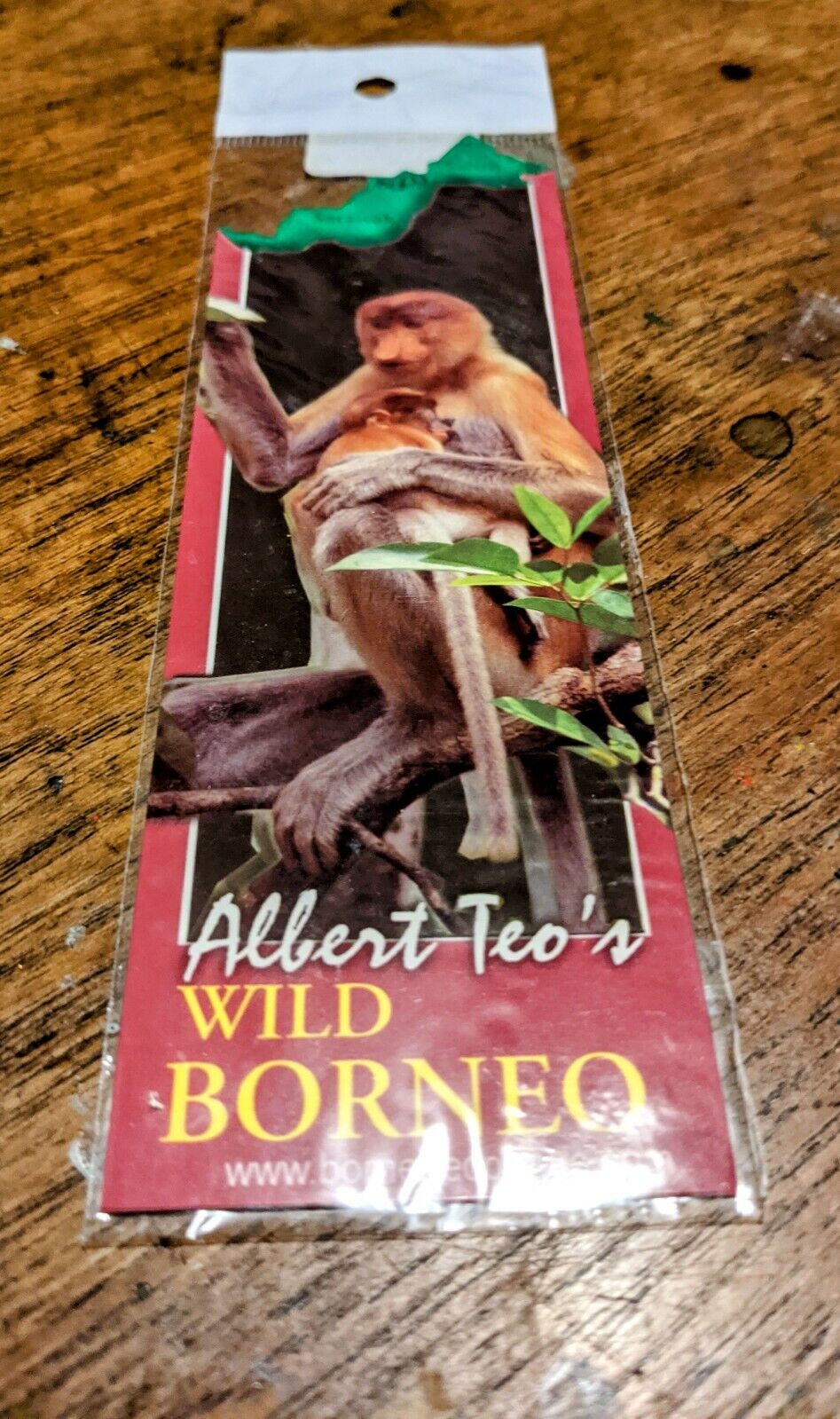 Borneo 🇵🇬 Albert Teo Ecotourism Sukau Rainforest Lodge Card Bookmark VGC A70
