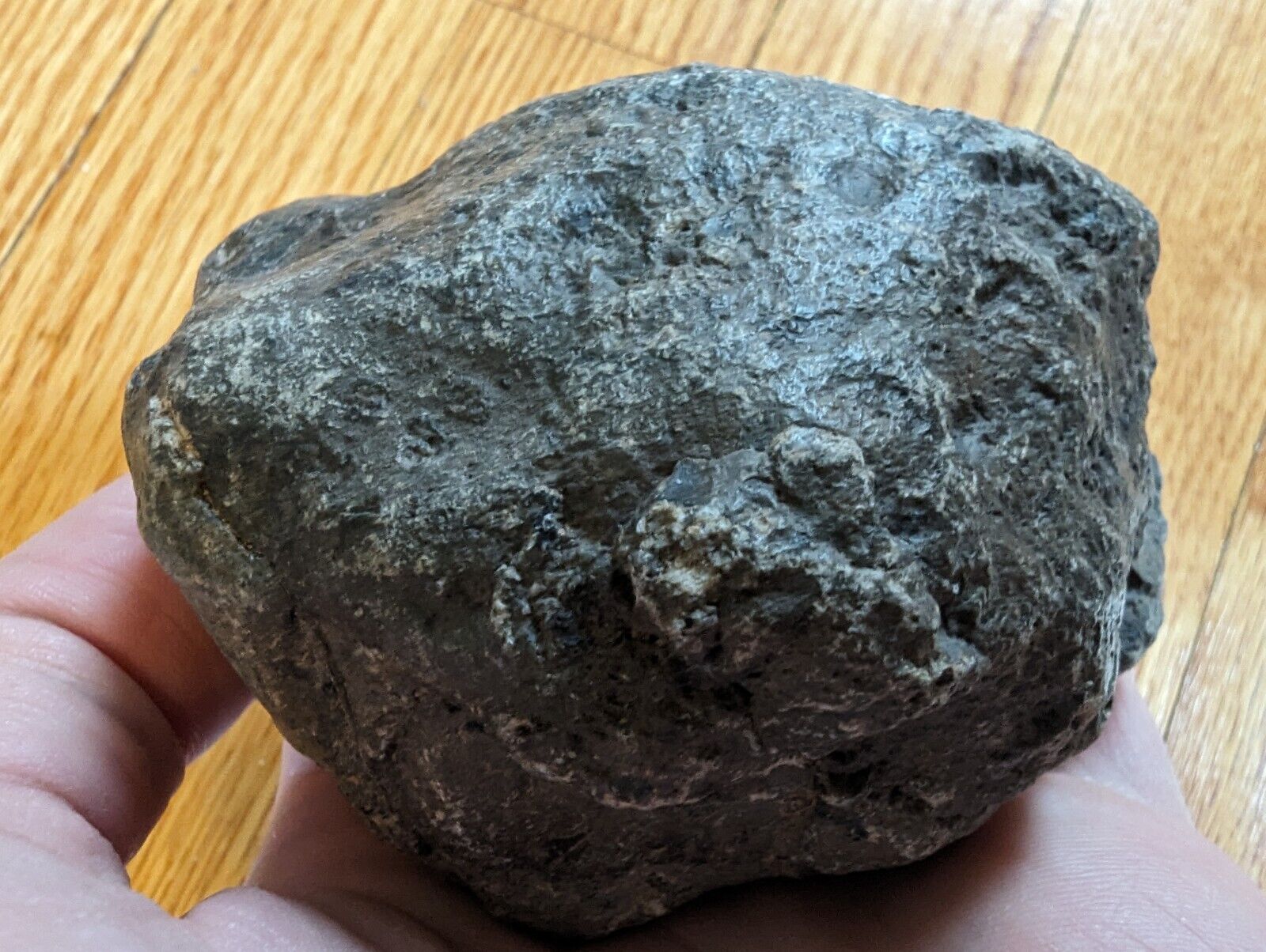 Jikharra 001 Eucrite Melt Breccia Meteorite - Asteroid Vesta - 488.9g 