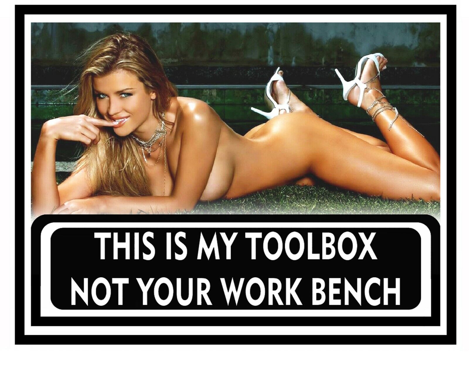 Funny Toolbox Sticker - Perfect for Garage - Sexy Girl Tool Box MADE IN USA A001