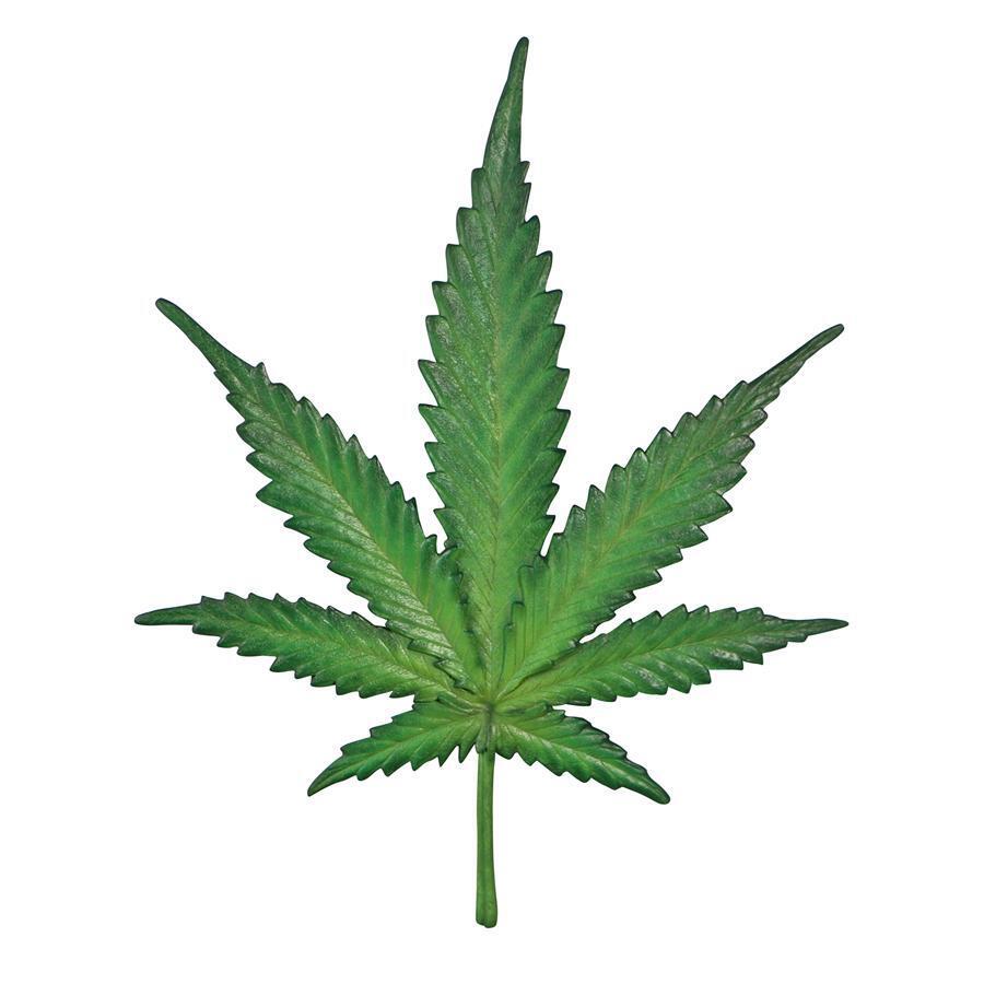 Pot Leaf Cannabis Hemp Plant Marijuana Symbol of Natural Medicine Wall Sculpture