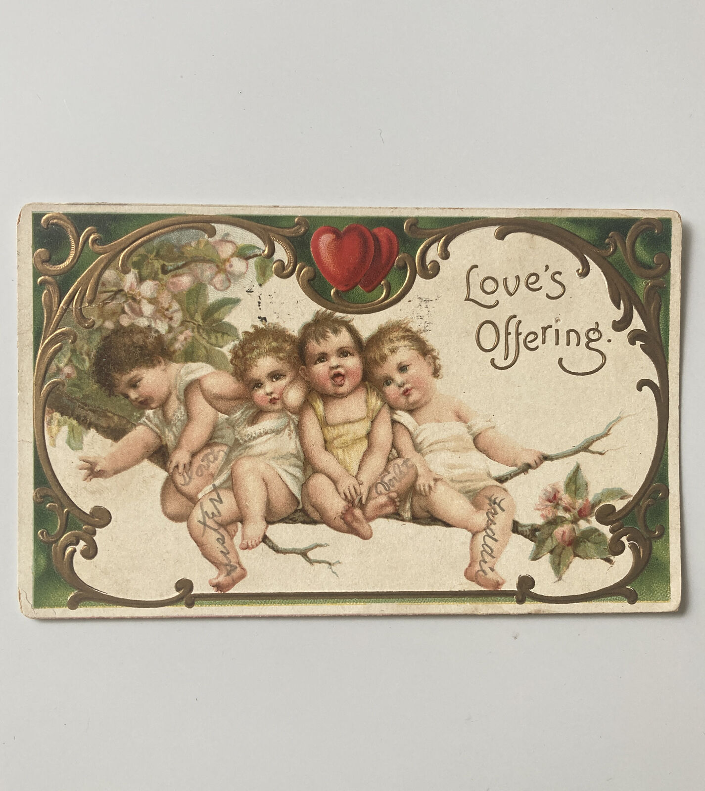 Valentine Fantasy Sweet Babies on Branch in Tree Art Posted 1909 Postcard