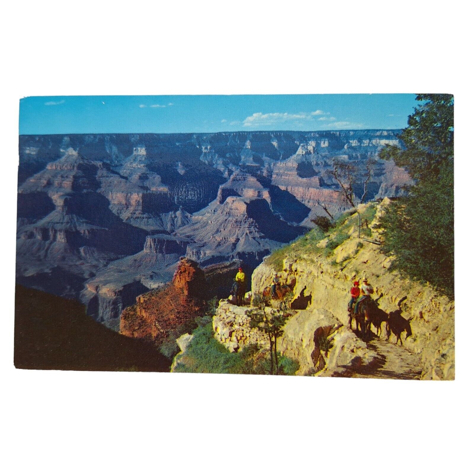 Postcard Bright Angel Trail Grand Canyon Arizona Chrome Unposted