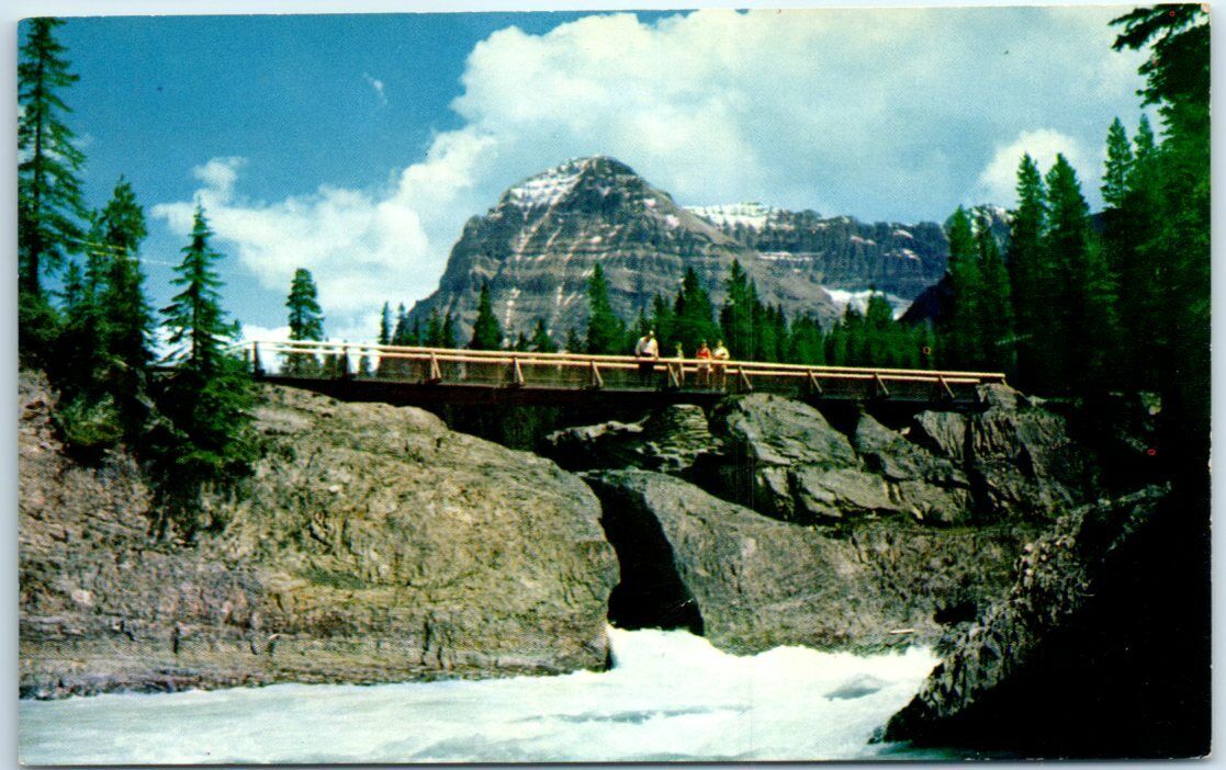 Postcard - The Natural Bridge and Mount Stephen, Canada