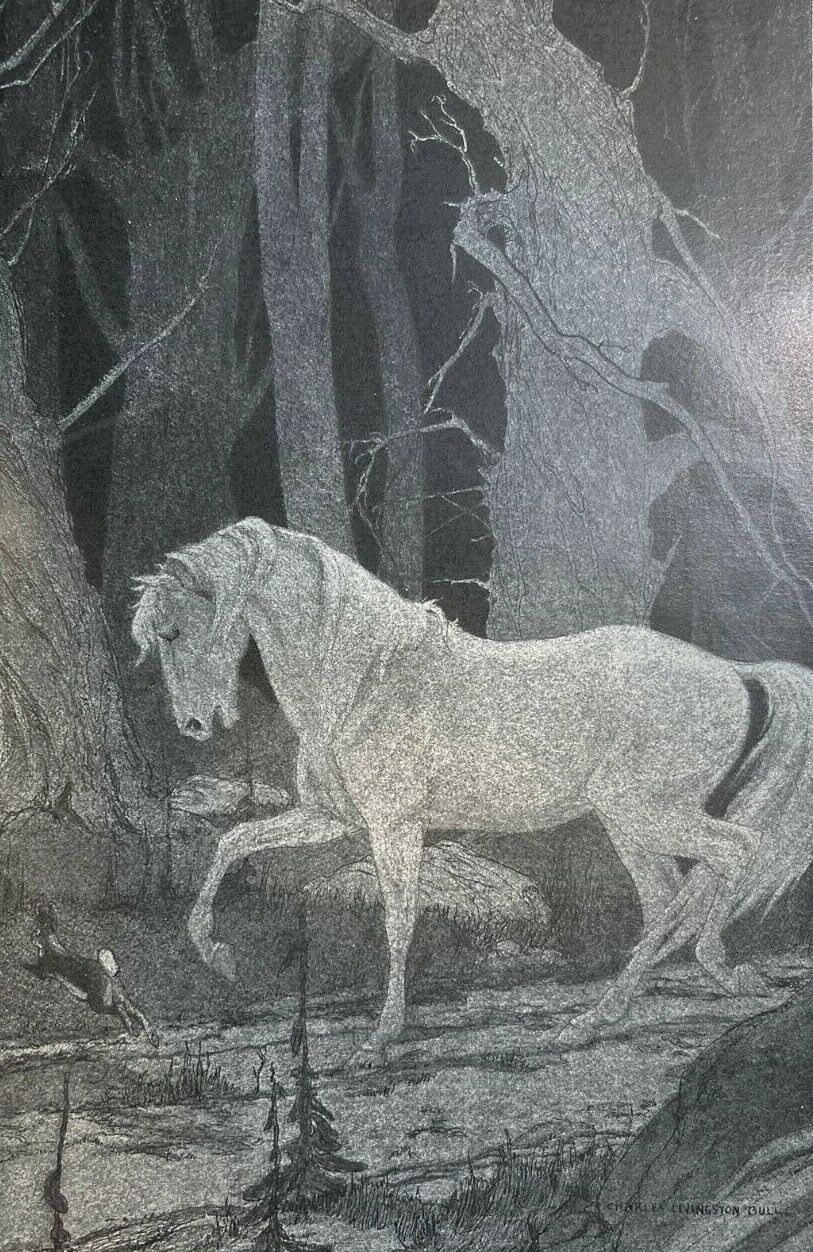 1906 Charles Livingston Bull Illustrations of White Stallion