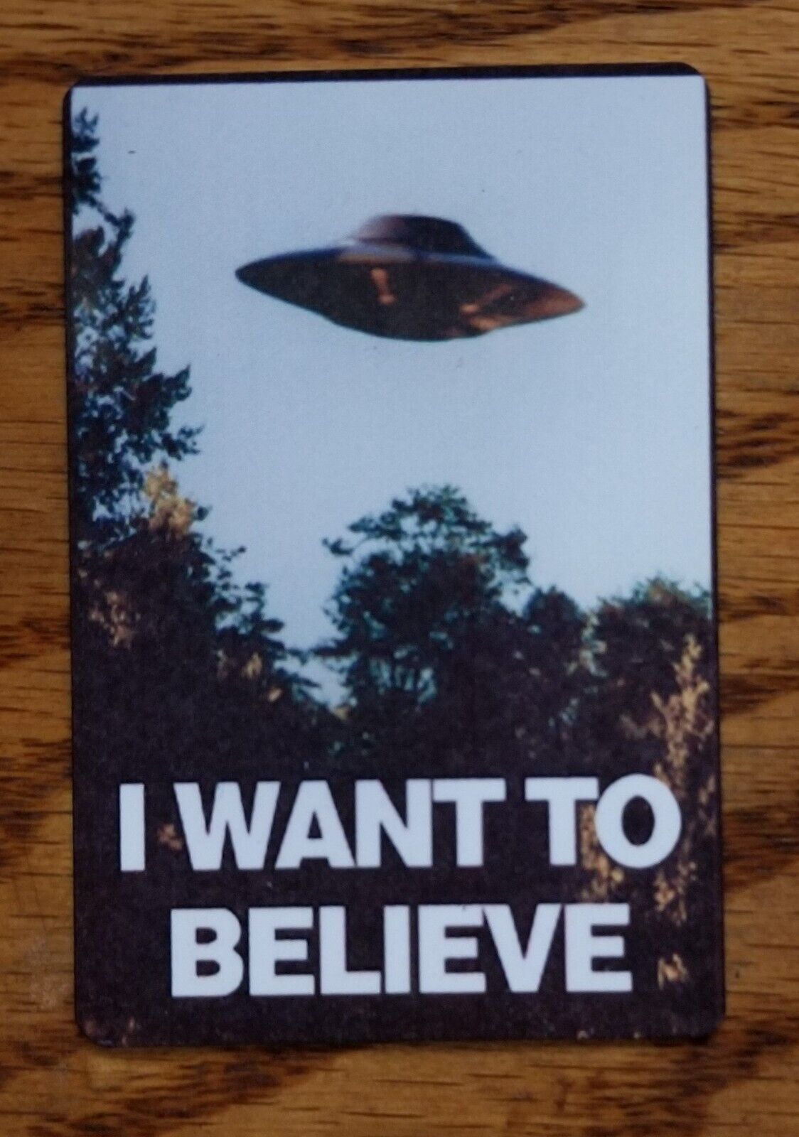 I want to believe x-files alien life ufo 2x3 refrigerator fridge magnet