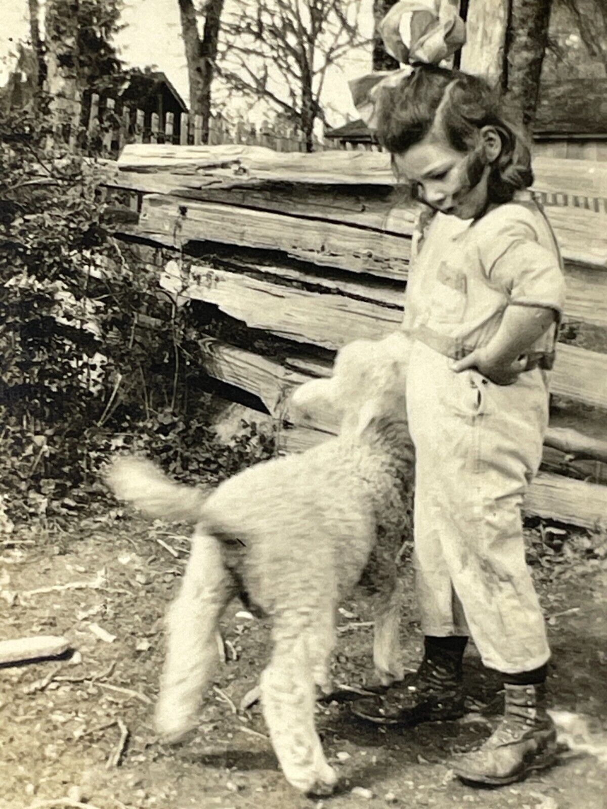 ZF Photograph Girl With Pet Ewe Lamb Friend Sheep Farm Country 1910-20's