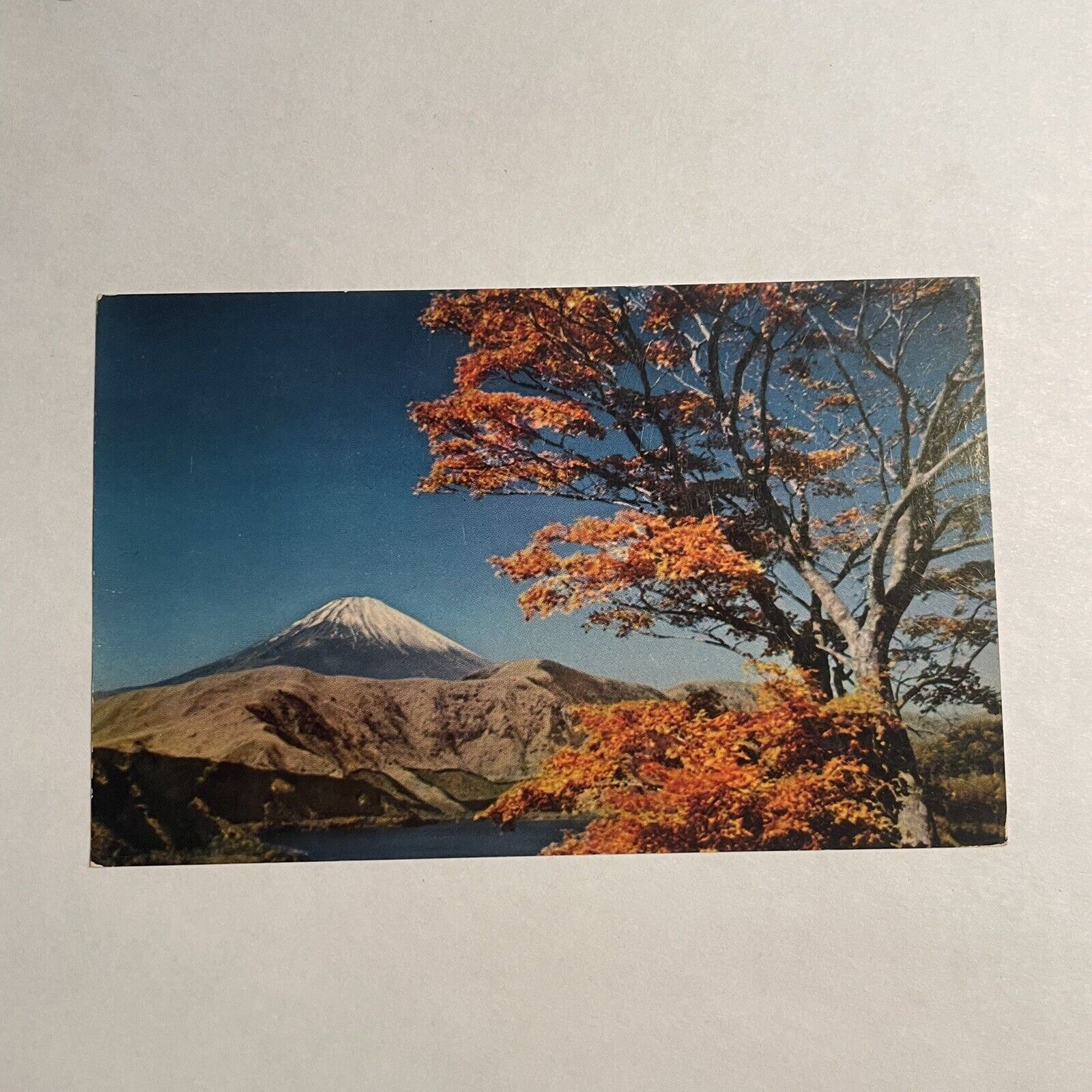 Mt. Fuji Rises Snow Capped Feet Above Sea Level Tokyo Vintage Postcard Mount