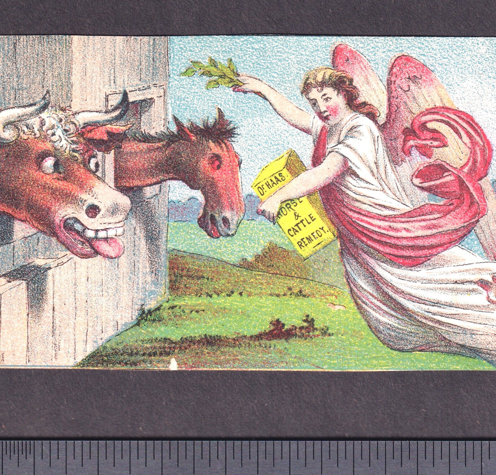 Dr Haas Victorian Angel Remedy Farm Horse Cattle Hog Cow Cure TRIMMED Trade Card