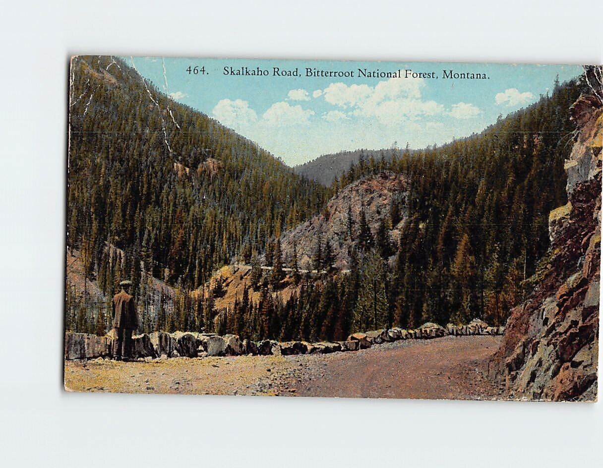 Postcard Skalkaho Road, Bitterroot National Forest, Montana