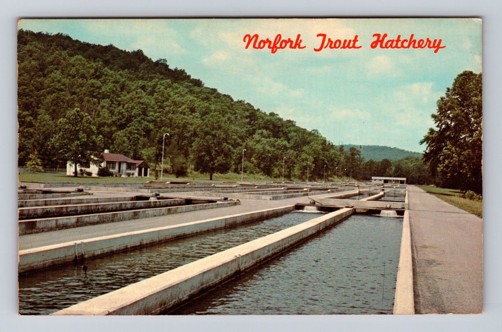 Norfork AR-Arkansas, Norfork National Fish Hatchery, Antique Vintage Postcard