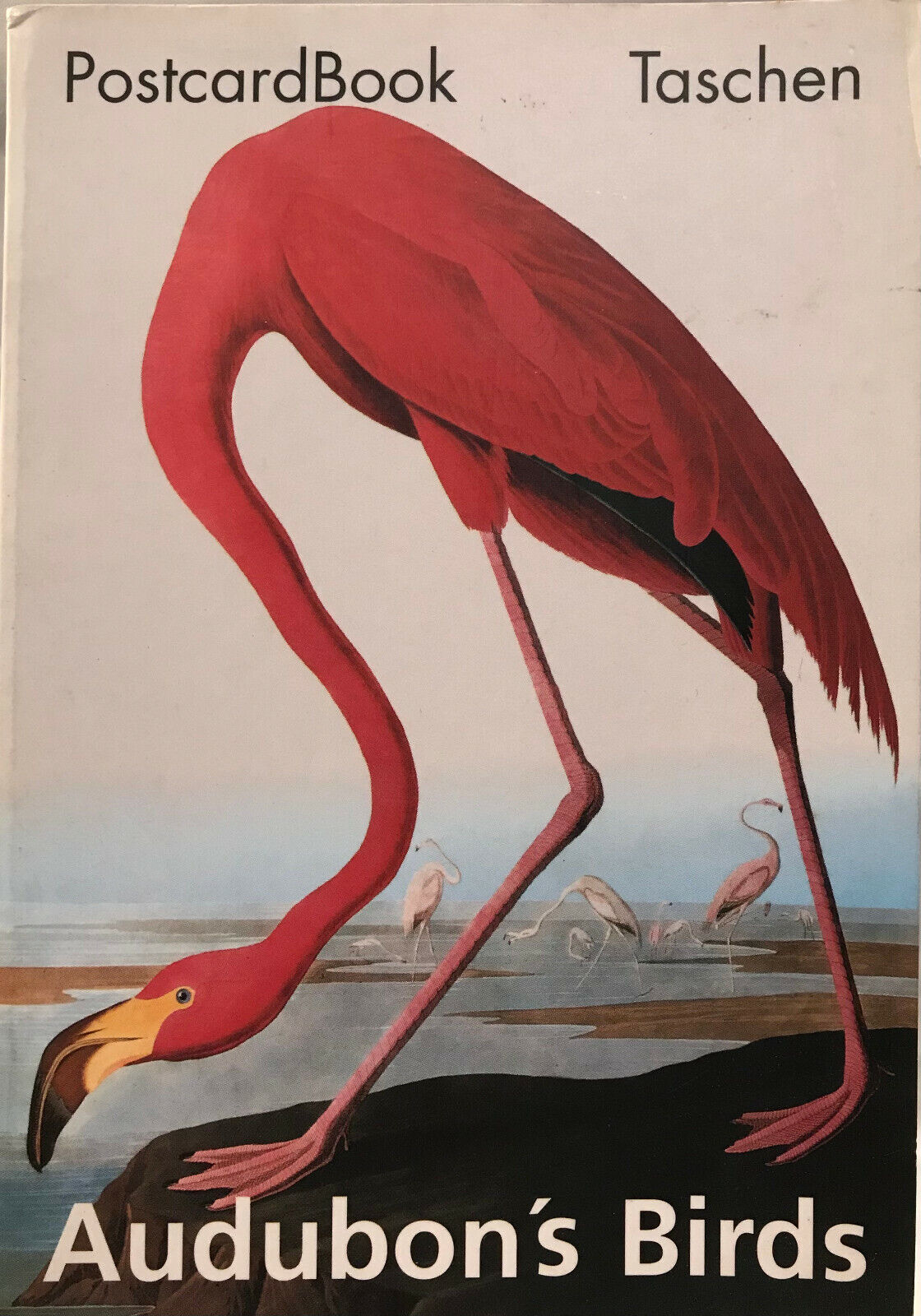 Audubon Birds Postcardbook 1993 Taschen OUT OF PRINT, RARE