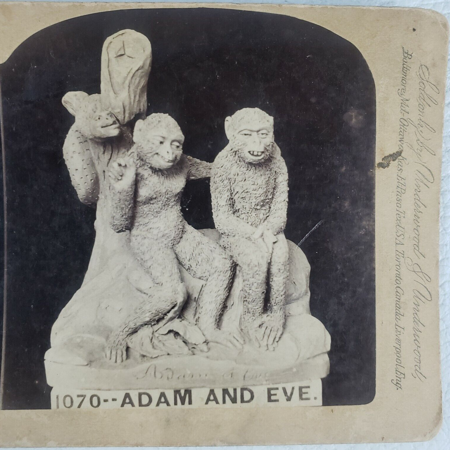 Charles Darwin Monkey Statue Evolution Adam Eve 1890s Satire Stereoview L102