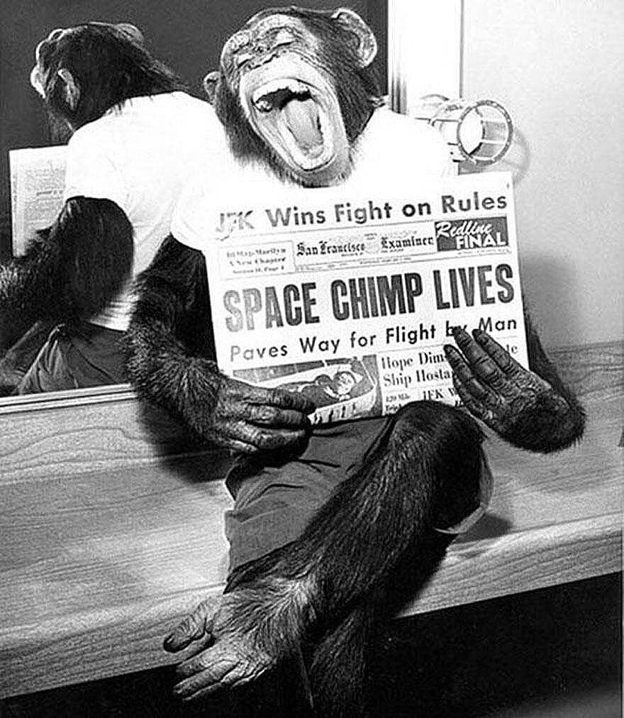 HAM the Astrochimp NASA Astronaut Chimpanzee Monkey Picture Photo Print 5