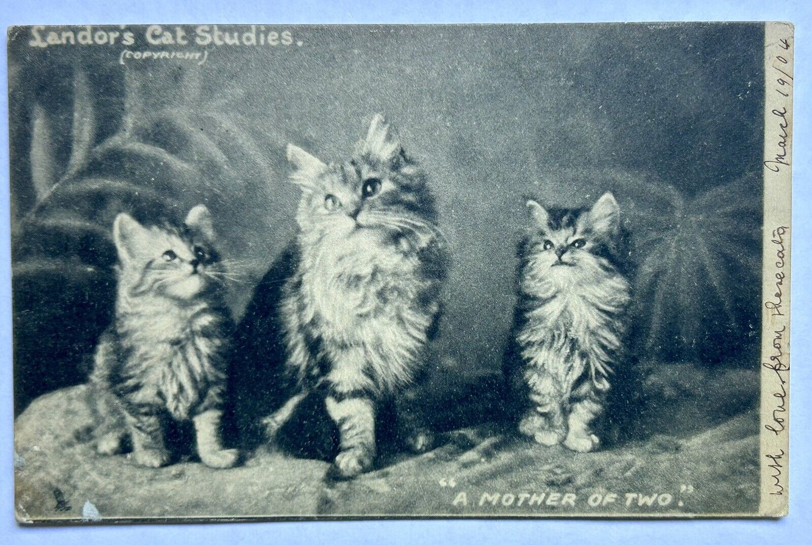 Landors Cat Studies. Mother Cat With Kittens. Vintage Postcard 1904