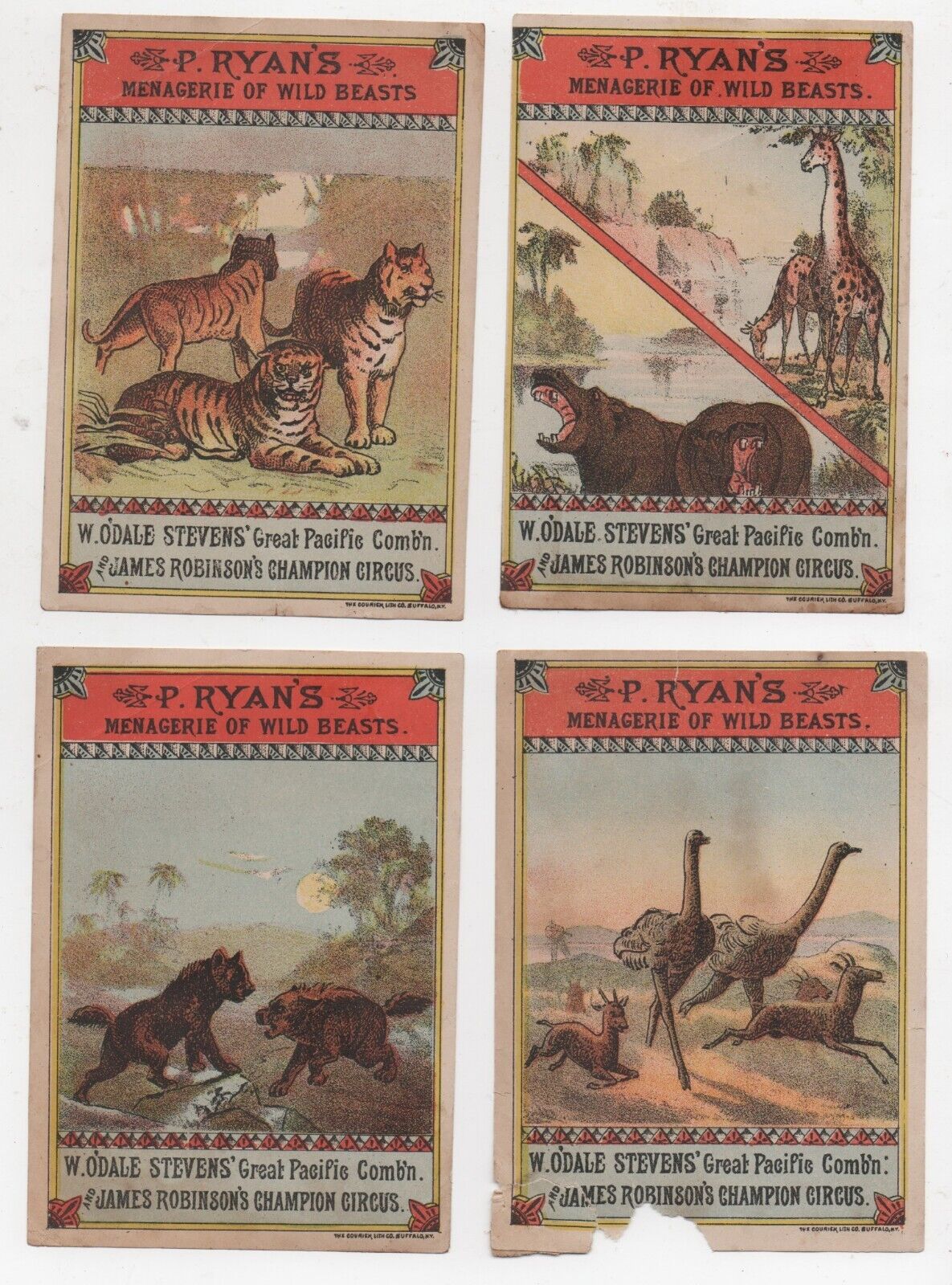 Set of Four 1882 Circus Animal Trade Cards Ryan\'s, Steven\'s & Robinson\'s Circus