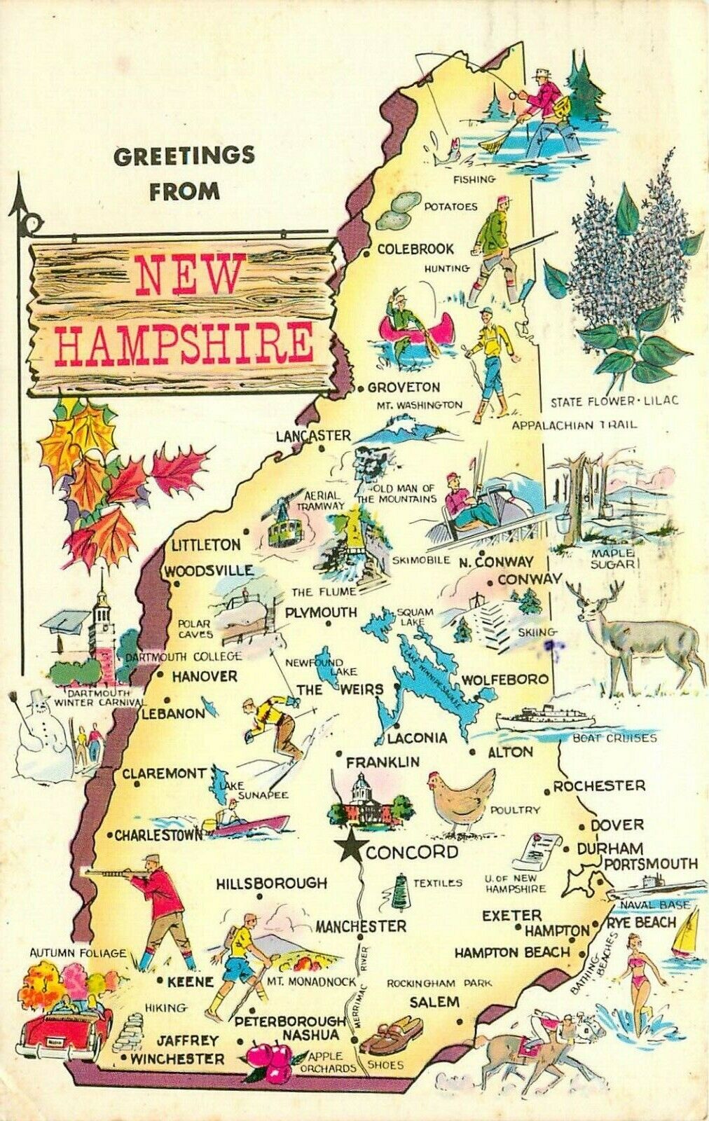 New Hamphire NH State Map Artist Rendition pm 1974 Postcard