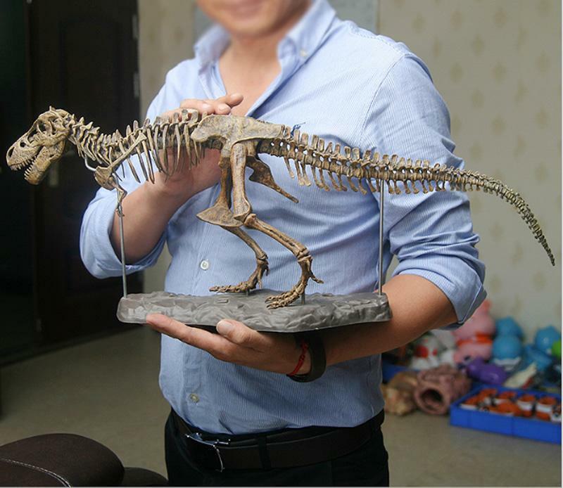 Dinosaur Skeleton Fossils Bones Puzzle Kids Toy Collection Animal 4D Model Decor