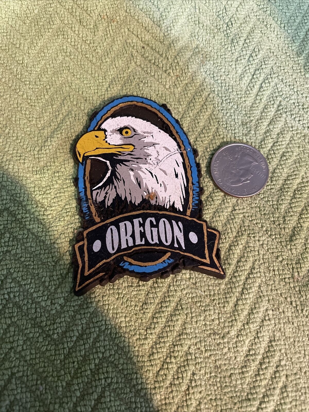 Bald Eagle Oregon Fridge Magnet