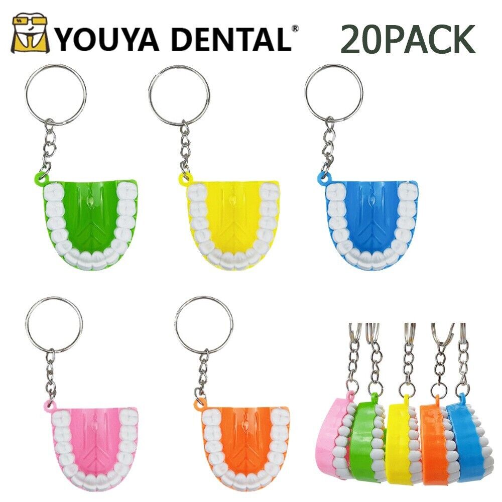 20pcs Tooth Shaped Keychain Portable Dental Model Upper Jaw Pendant KeyRing Gift