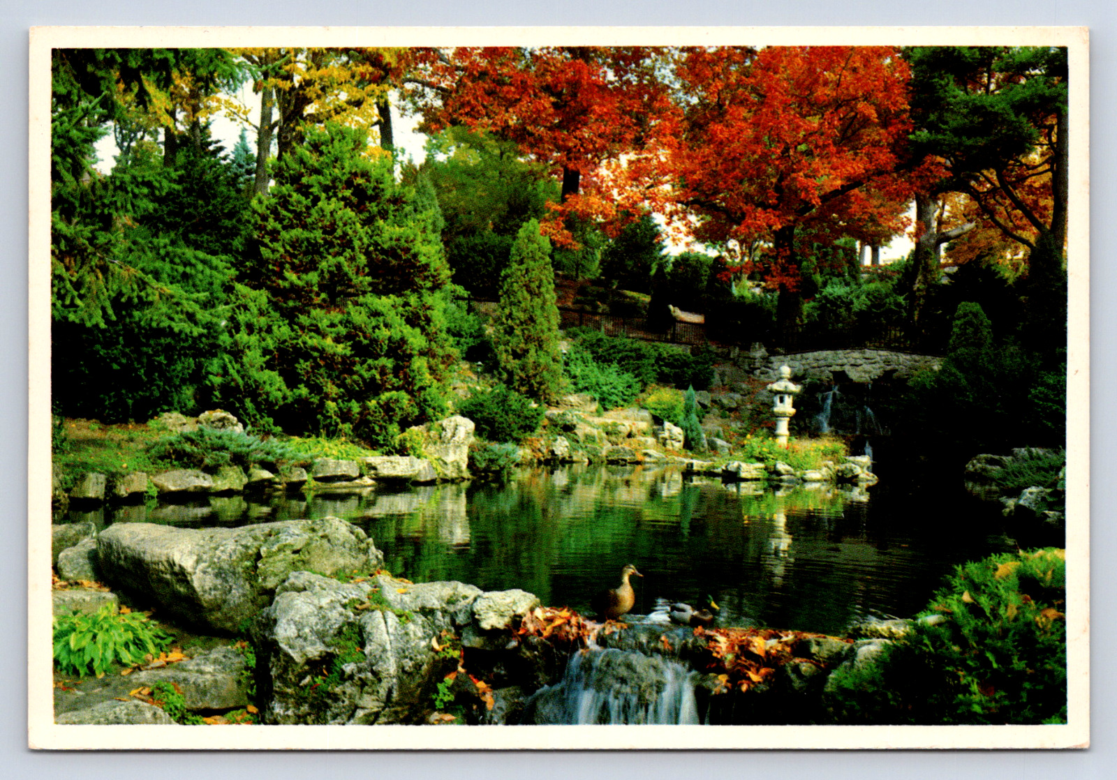 Vintage Postcard Toronto Ontario Canada High Park