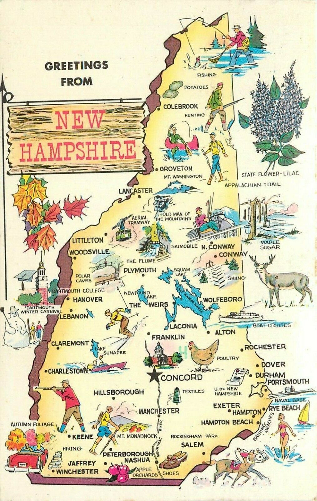 New Hamphire NH State Map Artist Rendition pm 1975 Postcard
