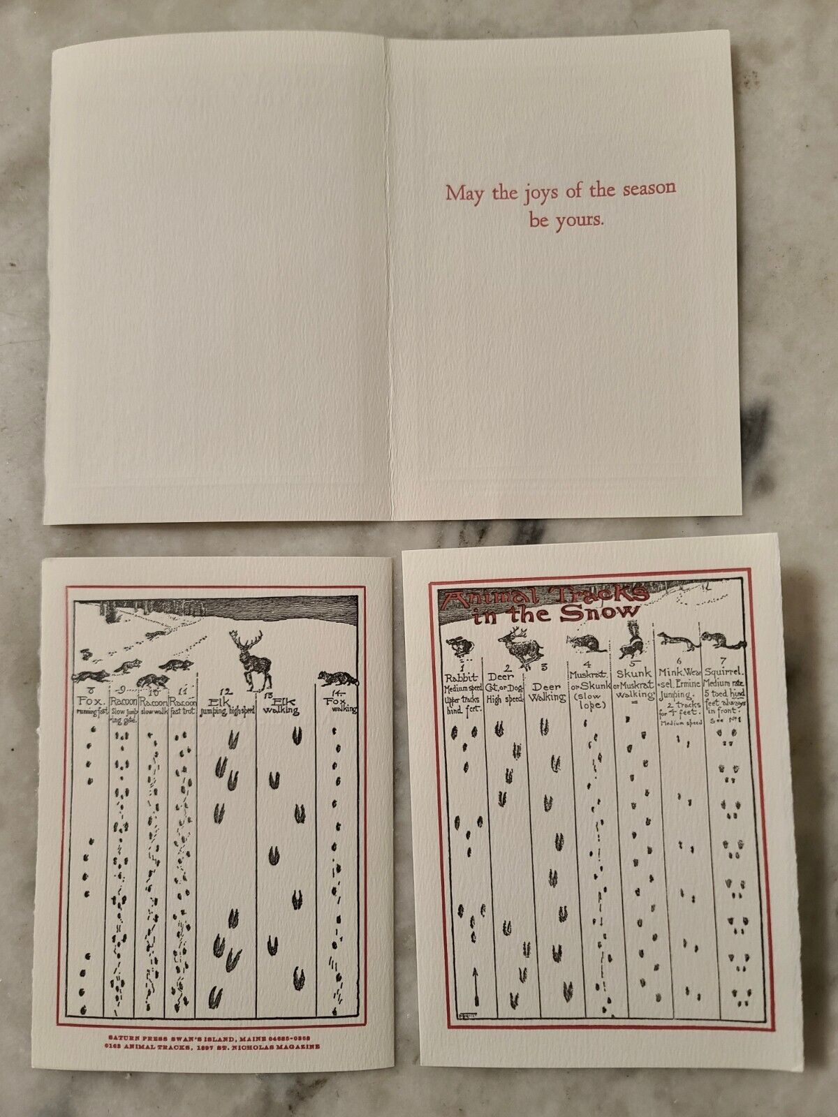 Letterpress cards Animal tracks in the Snow 6 cards w/envelopes by Saturn Press