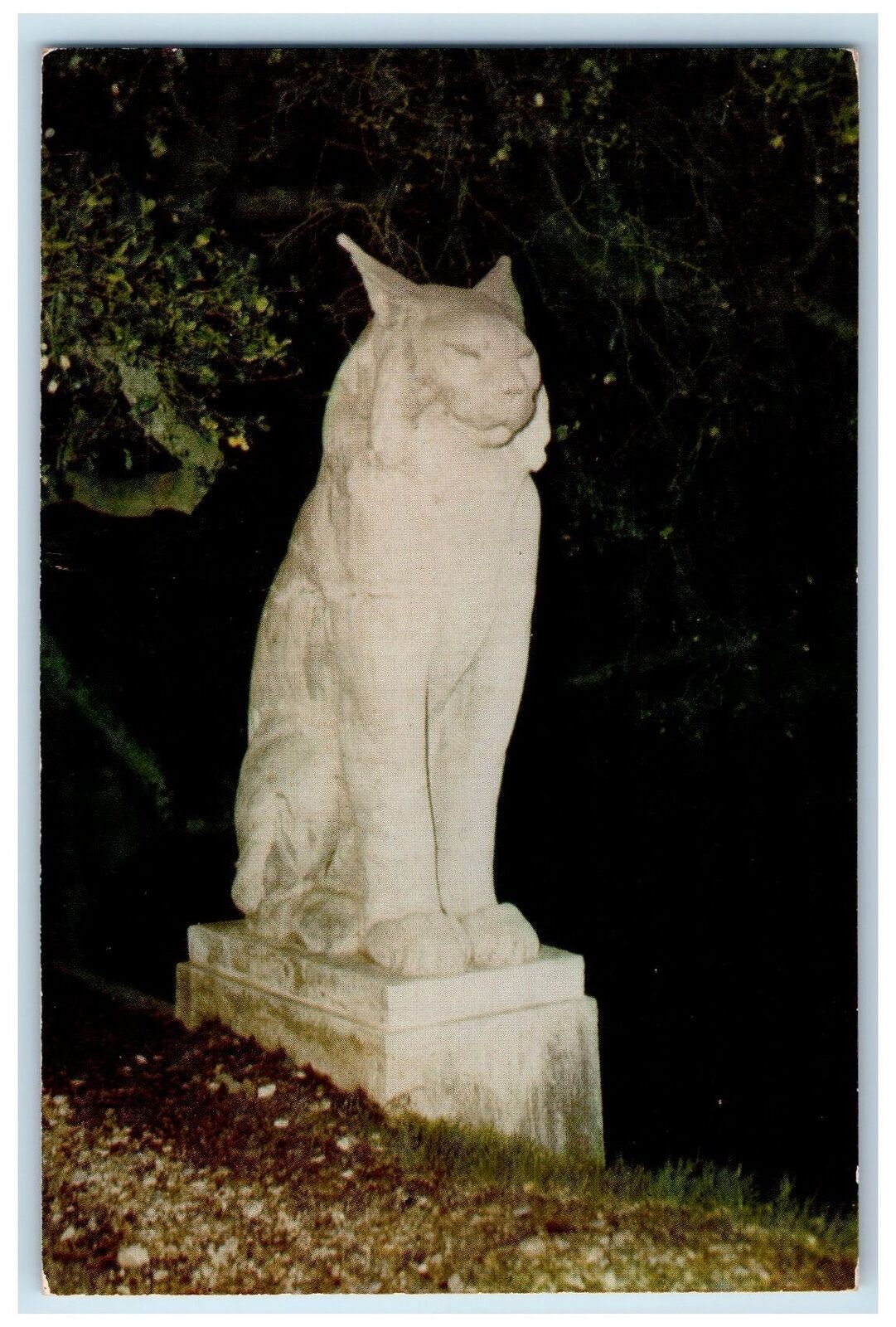 c1950's Los Gatos Wild Cat Sculpture Statue Monument California CA  Postcard