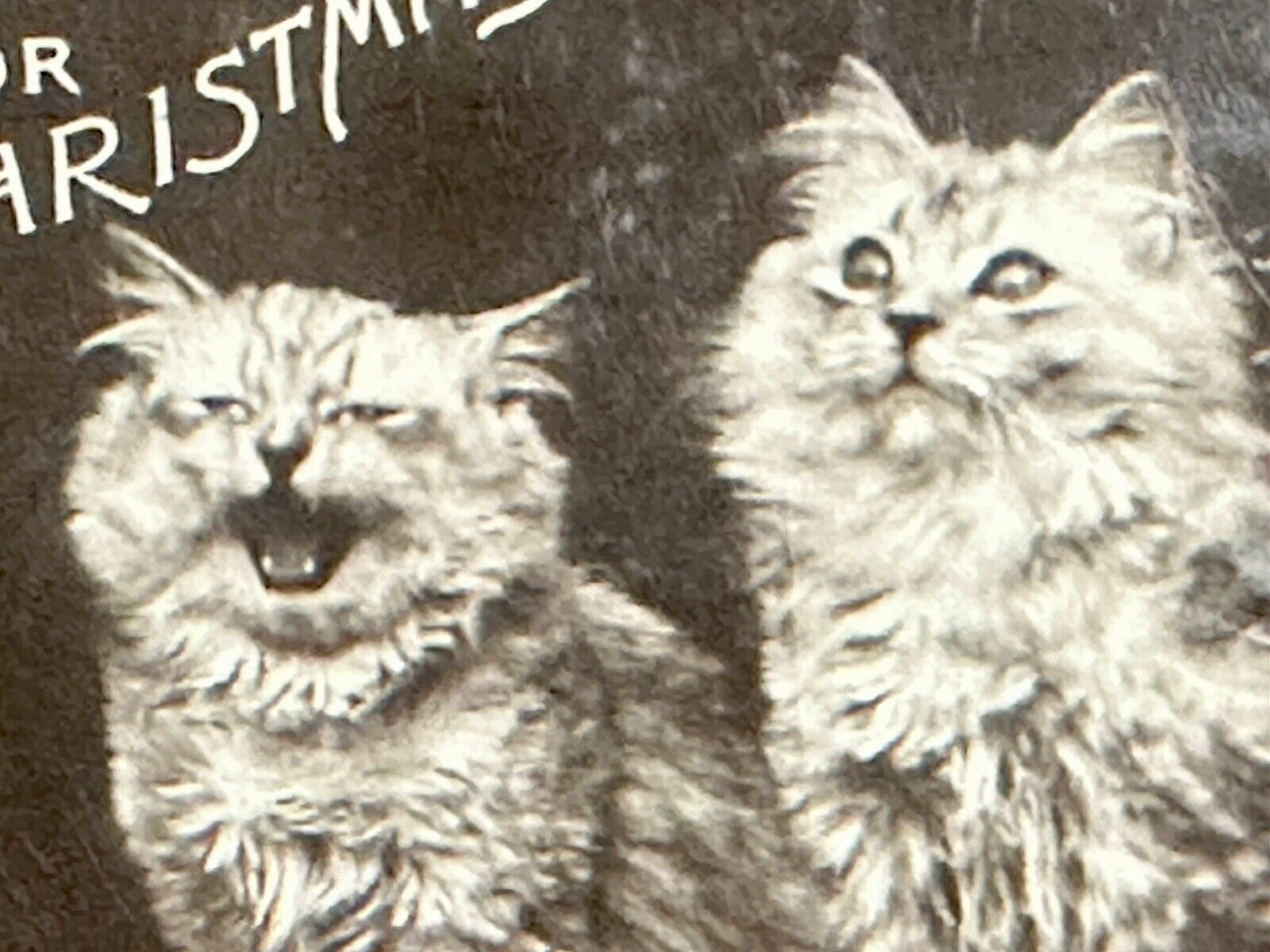 Cat Postcard Real Photo RPPC Rotograph Co Travelers Home For Christmas Umbrella