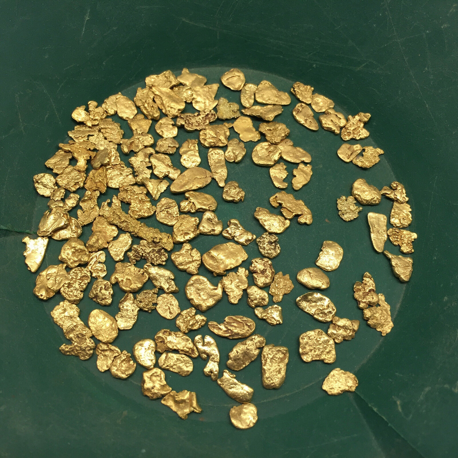 10 pound NUGGET RESERVE ELITE Gold Panning Paydirt - Guaranteed Unsearched