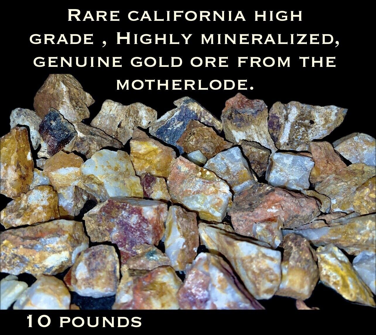 10LB HIGH GRADE HIGHLY MINERALIZED GOLD ORE W/VISIBLE GOLD FROM THE MOTHERLODE